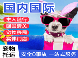 禄口机场快递国际宠物托运 【国